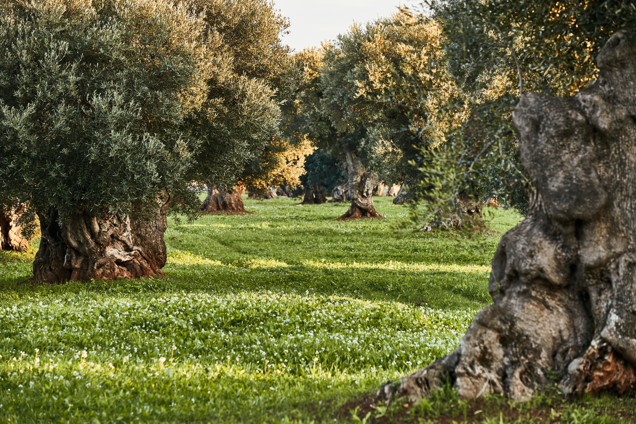 Πολιτική Απορρήτου Προμηθευτές