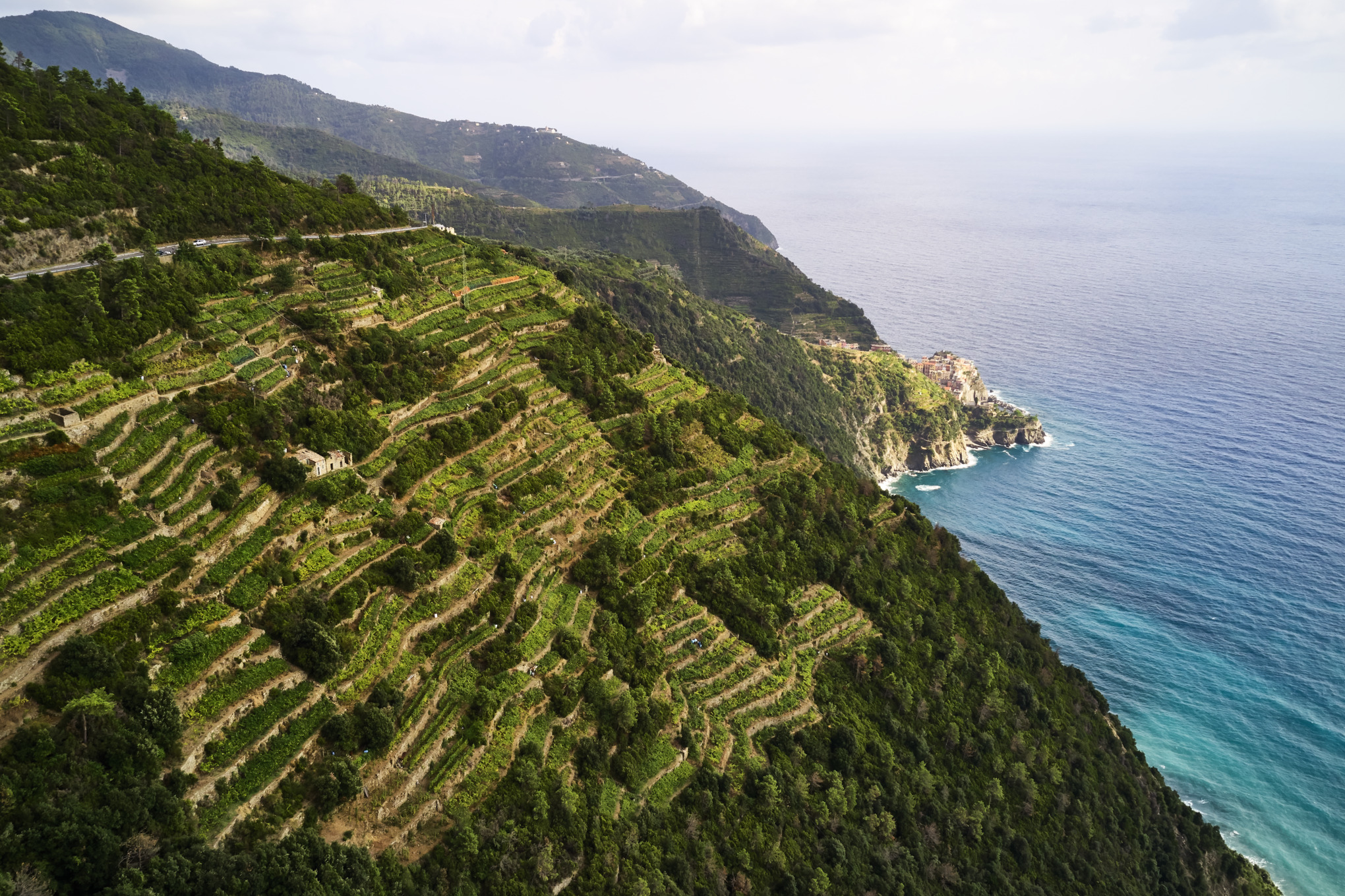 ΕΝΑ ΠΑΓΚΟΣΜΙΟ ΔΙΚΤΥΟ