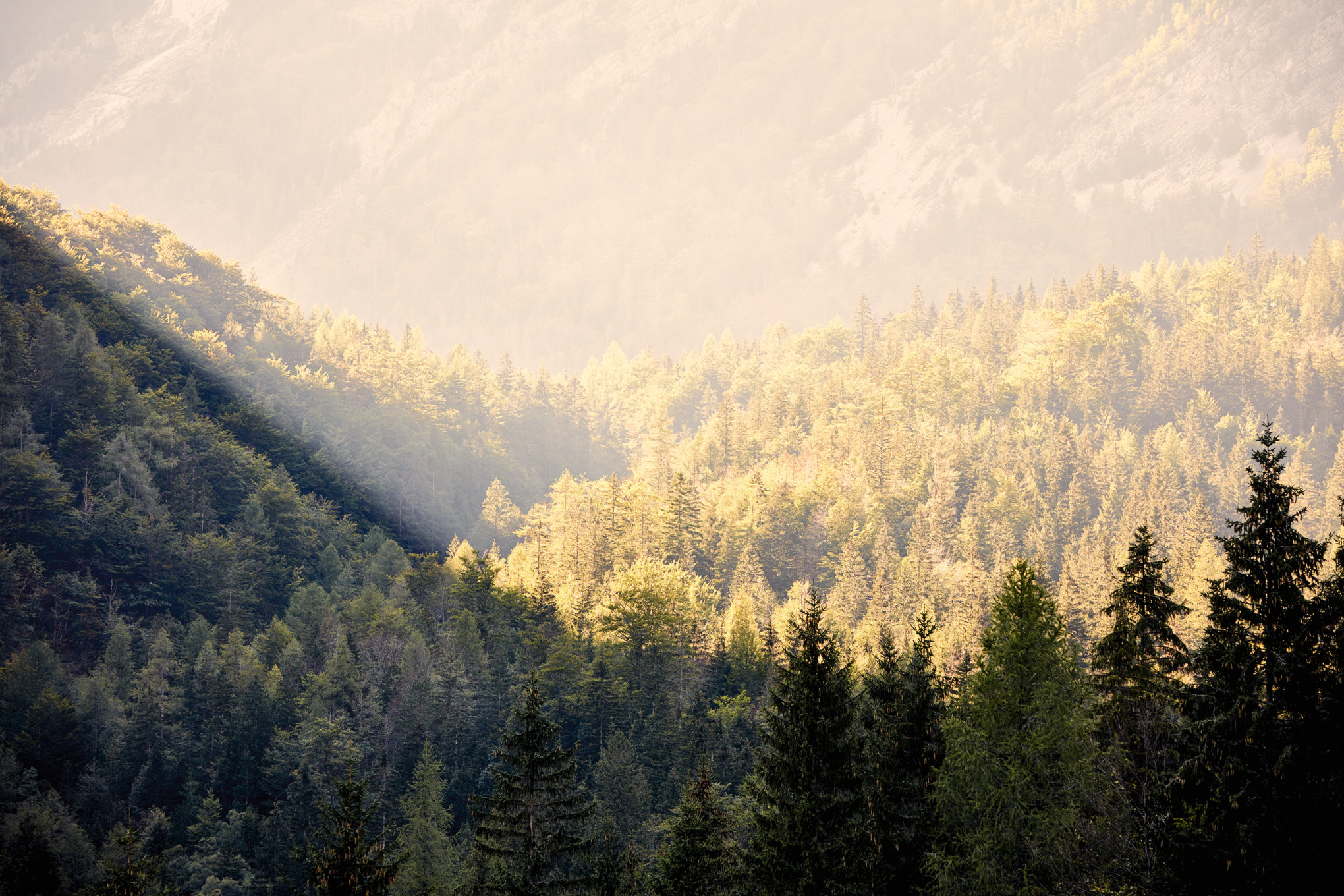 Εταιρείες πωλήσεων STIHL παγκοσμίως