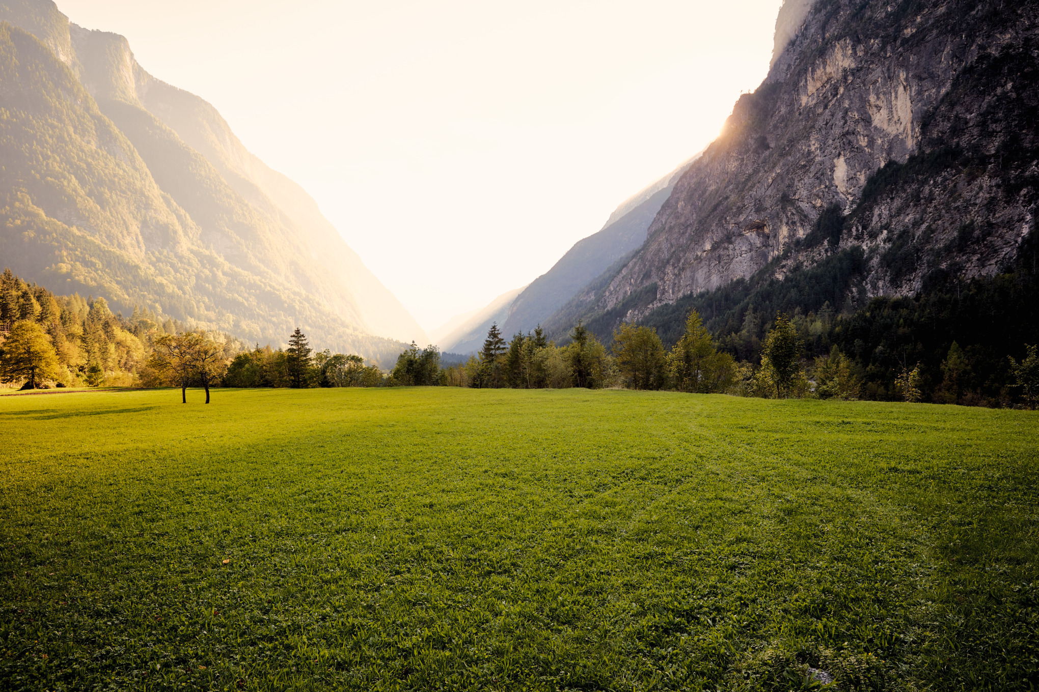 Επαφές τύπου