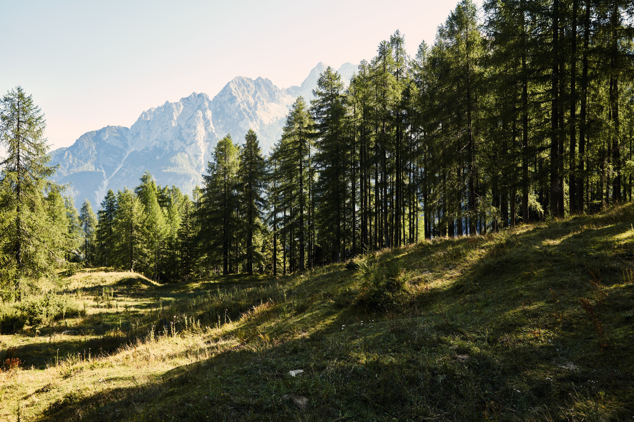 Πληροφορίες Τύπου