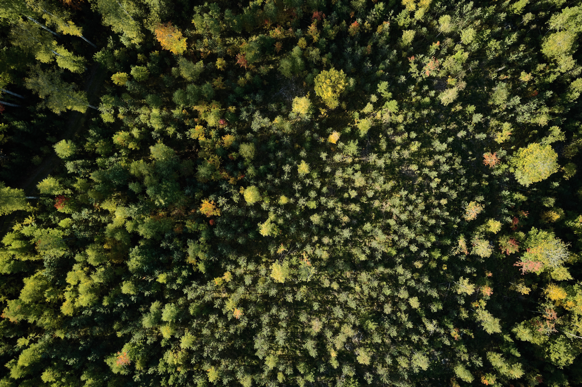 Οι αξίες μας