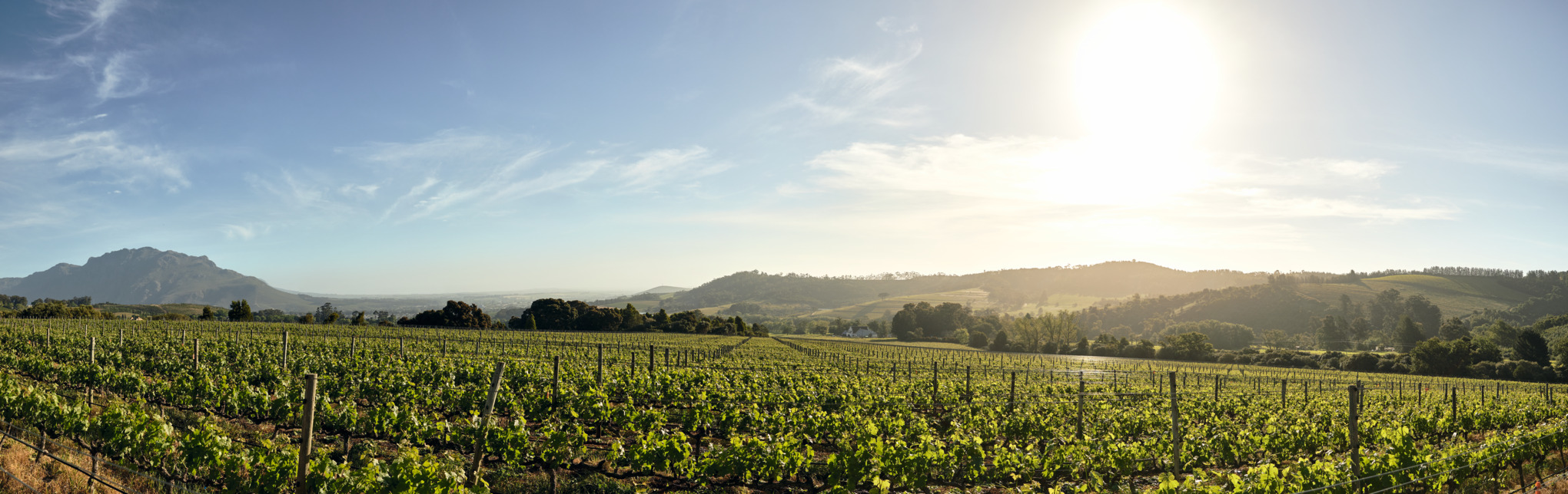 Εταιρείες πωλήσεων STIHL στην Αφρική