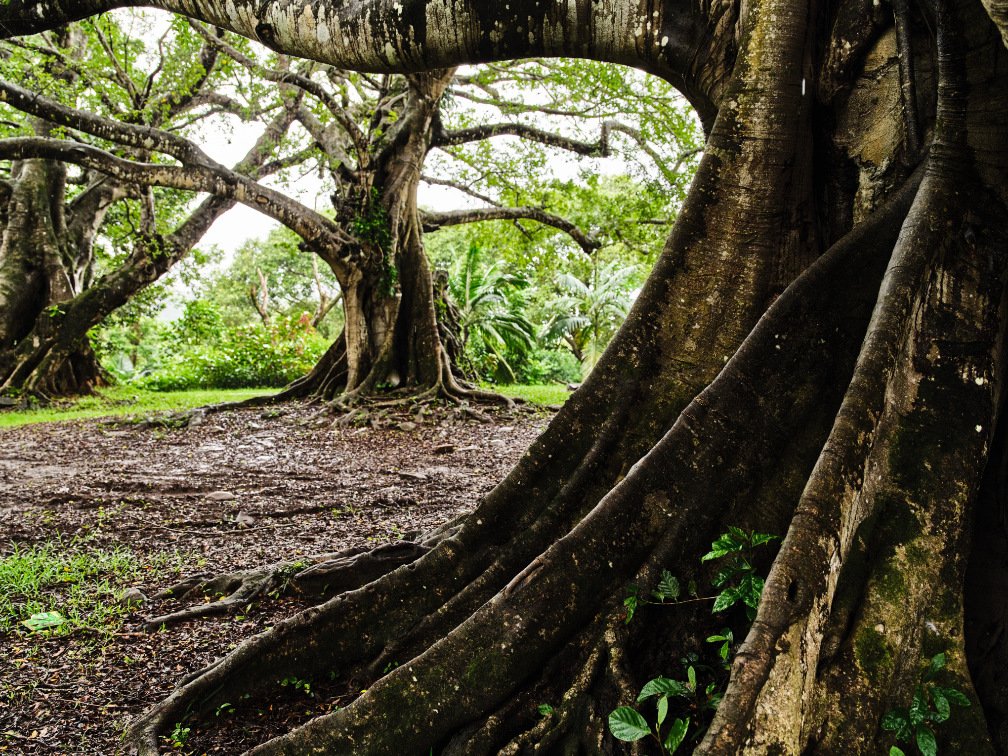 Στρατηγική για το κλίμα