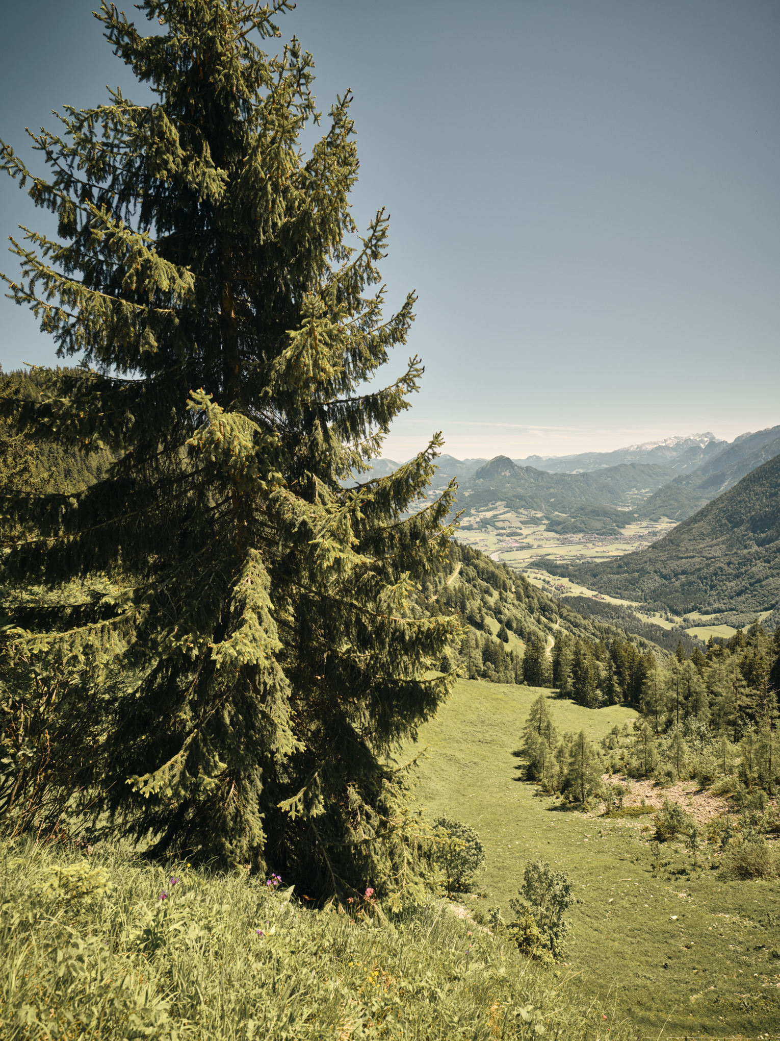 Στρατηγική βιωσιμότητας