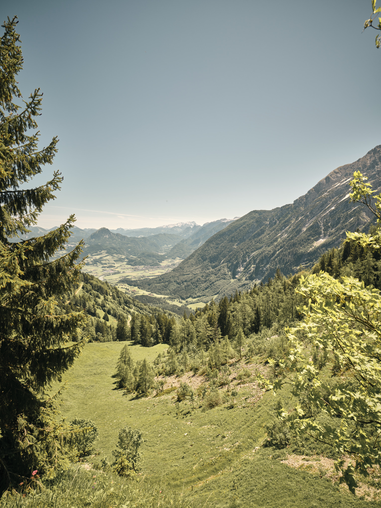 έκθεση βιωσιμότητας Stihl