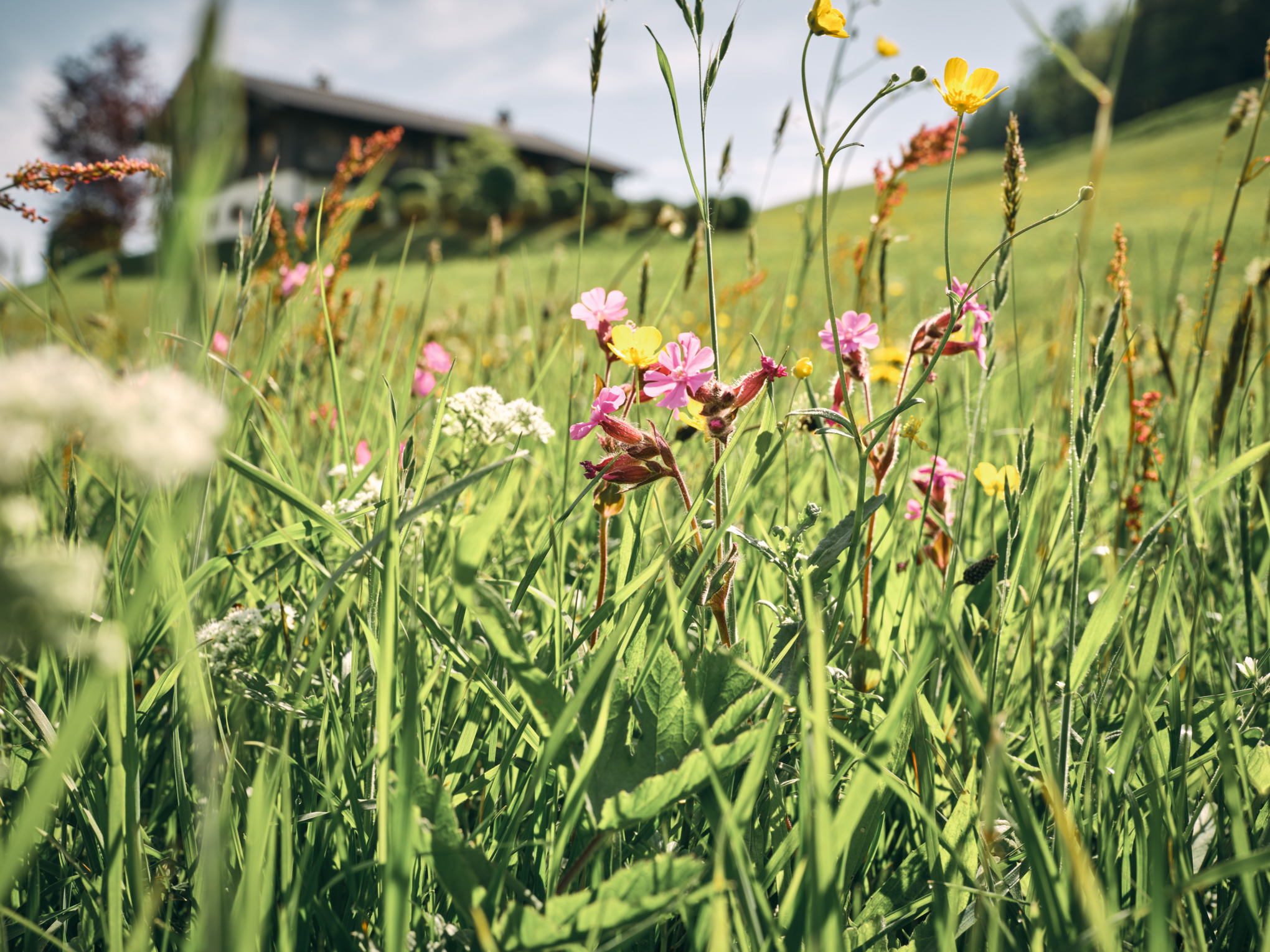 Το περιβάλλον