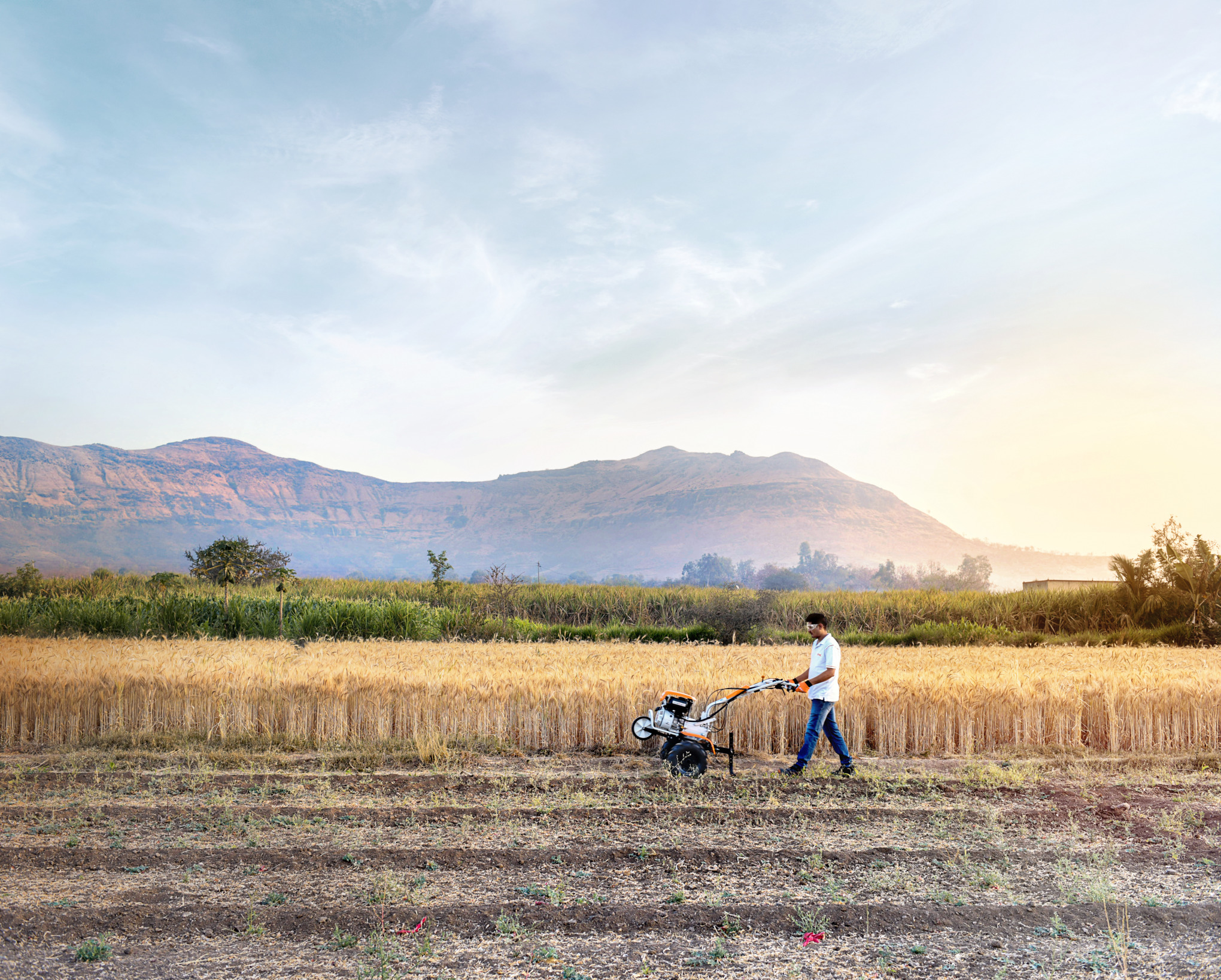 Εταιρείες πωλήσεων STIHL Ασίας
